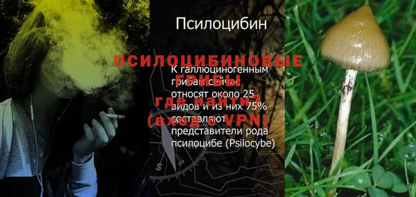 соль ск Зеленокумск