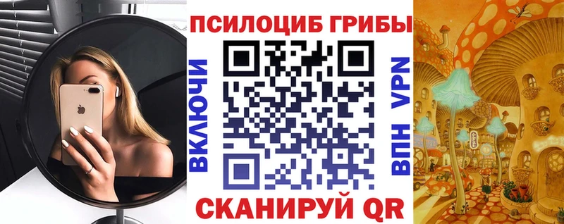 Псилоцибиновые грибы MAGIC MUSHROOMS  Купить где  Кимовск 